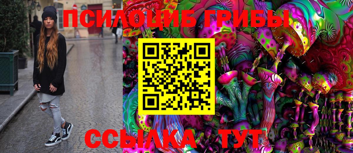 Галлюциногенные грибы мицелий  как найти закладки  Тулун  Псилоцибиновые грибы Psilocybine cubensis  Вход с VPN 